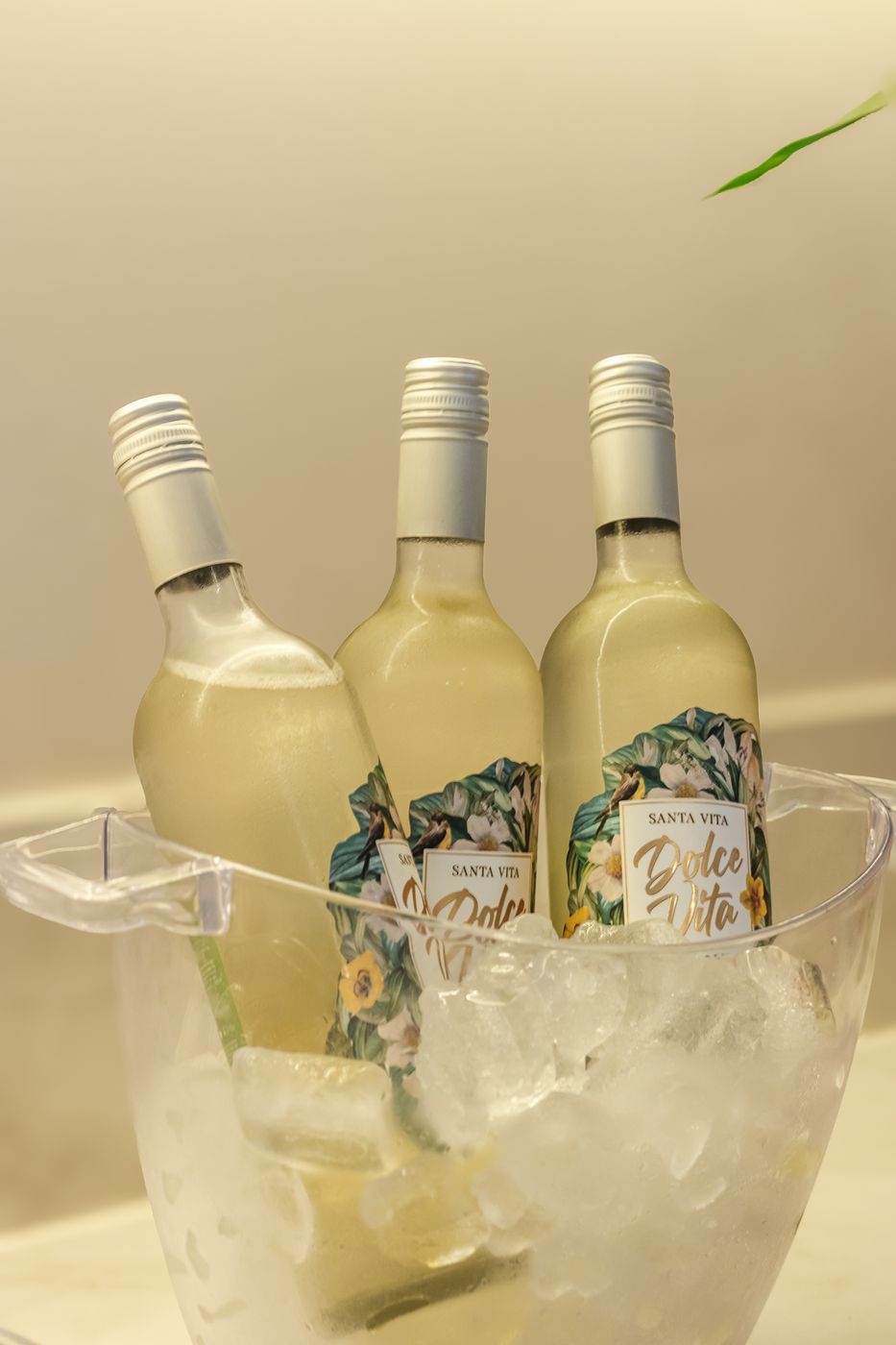 Vinhos no gelo em um encontro do clube